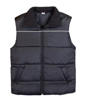 vest 1